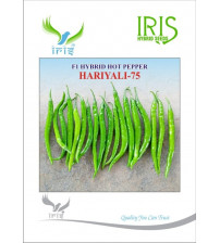 Chilli / Hot Pepper F1 Iris Hariyali-75 10 grams